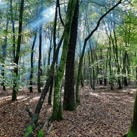 Trnavsko Сasa de vacaciones